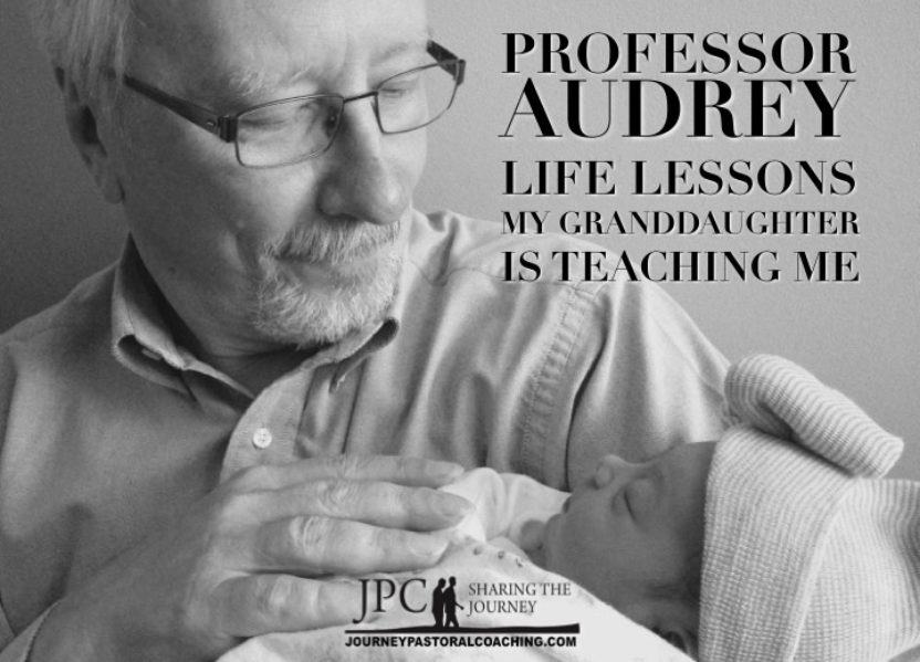 Professor Audrey: Life Lessons My Granddaughter is Teaching Me